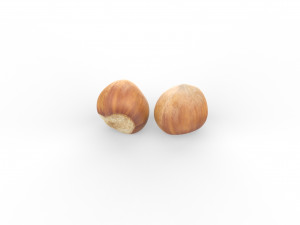 Hazelnuts low poly 3Dモデル
