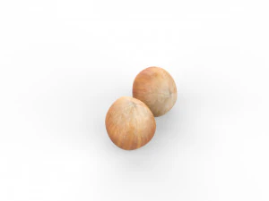 Nocciole basso poli Modello 3D
