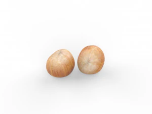 Nocciole basso poli Modello 3D