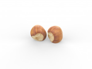 Hazelnuts low poly 3D 模型