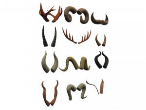 Horn Pack v001 3D Модель