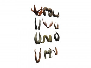 Horn Pack v001 3D Модель