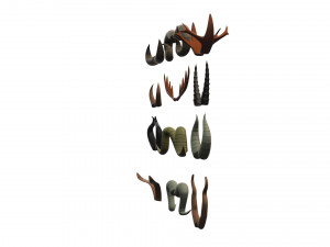 Horn Pack v001 3D Модель