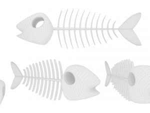 Fish bone v001 Model 3D