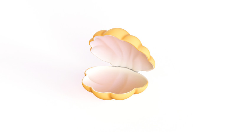 Sea Shell 02 3D Model .c4d .max .obj .3ds .fbx .stl .blend 
