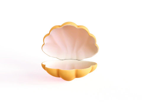 Sea Shell 02 3D Model