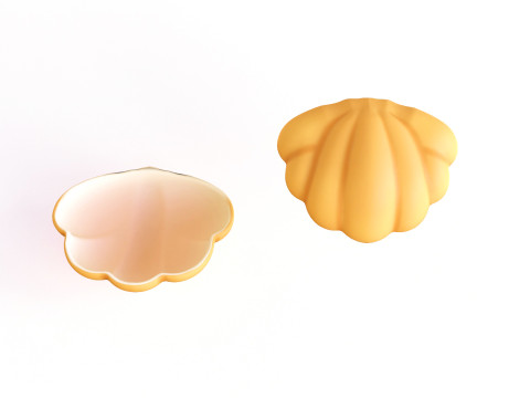 Sea Shell 02 3D Model