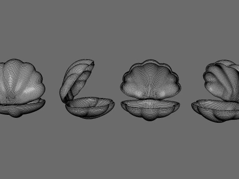 Sea Shell 02 3D Model