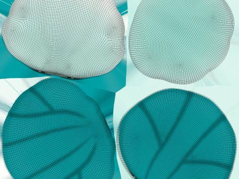 Sea Shell 03 Modelo 3D