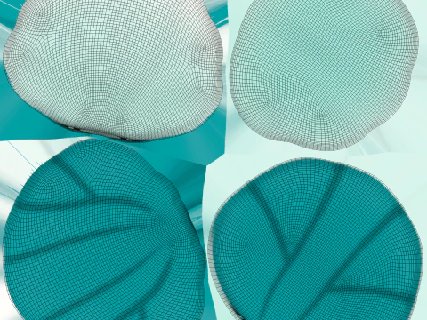 Sea Shell 03 3D Model