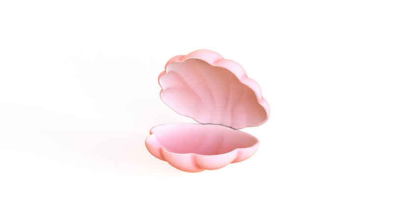 Sea Shell 04 3D Model .c4d .max .obj .3ds .fbx .stl .blend 