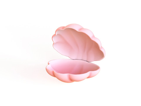 Sea Shell 04 3Dモデル