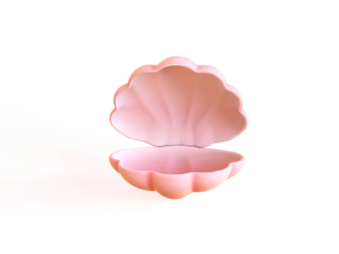 Sea Shell 04 3D Model