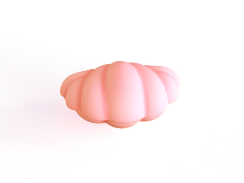 Sea Shell 04 3D Model