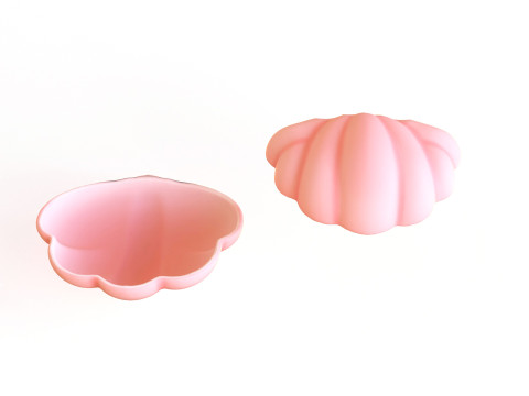 Sea Shell 04 3D Model