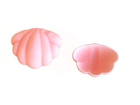 Sea Shell 04 3D Model