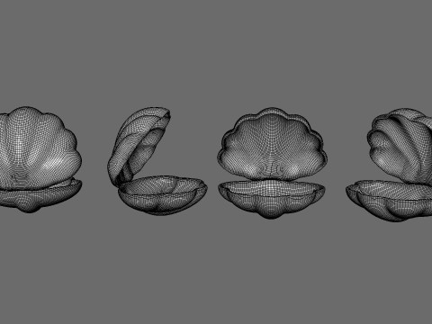 Sea Shell 04 3D Model