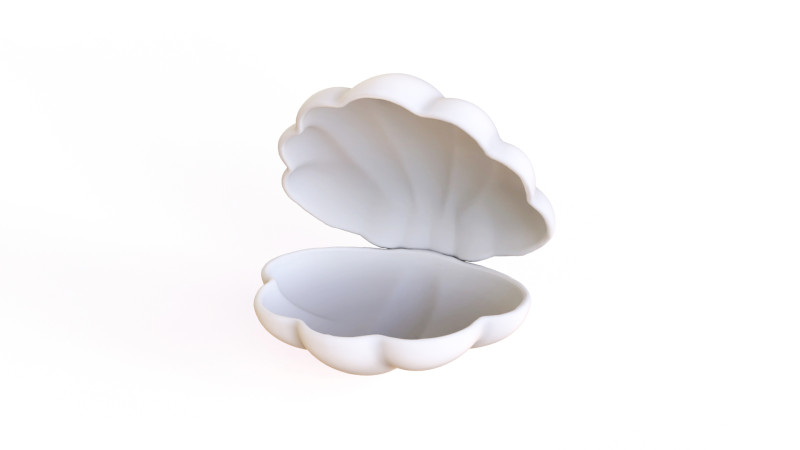 Sea Shell 06 3Dモデル .c4d .max .obj .3ds .fbx .stl .blend 