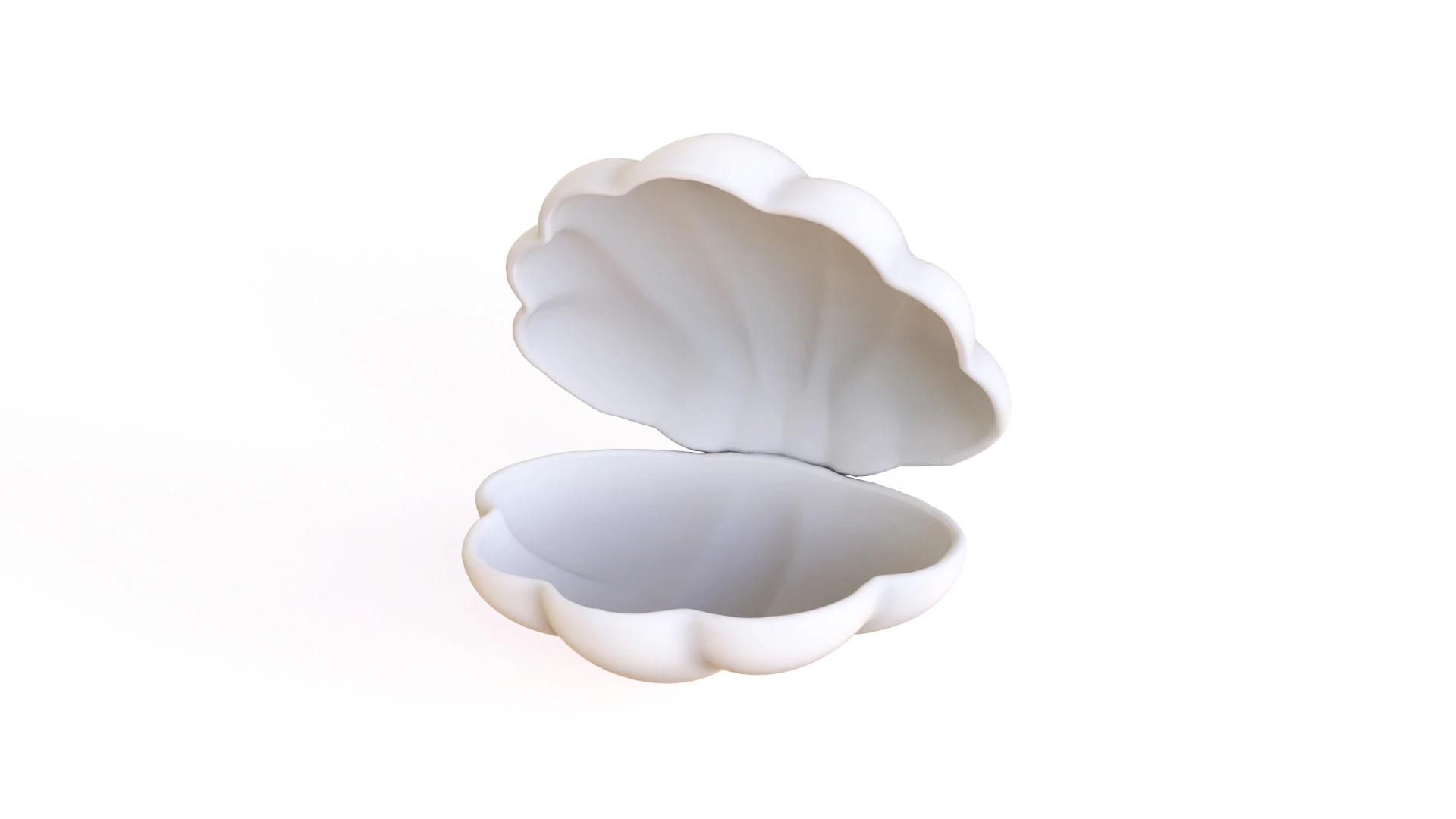 Sea Shell 06 3D Model .c4d .max .obj .3ds .fbx .stl .blend 
