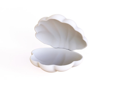 Sea Shell 06 3Dモデル
