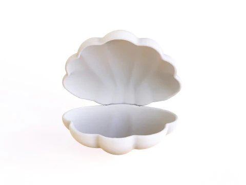Sea Shell 06 3D Model