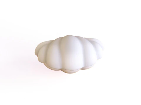 Sea Shell 06 3D Model