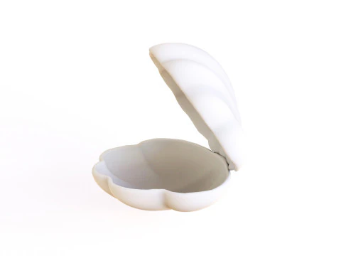 Sea Shell 06 3D Model