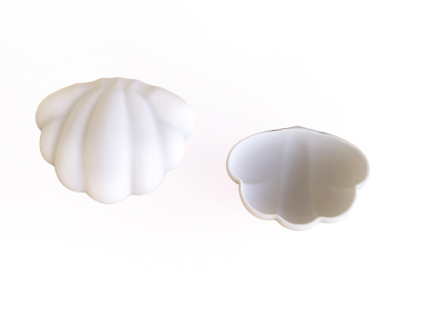 Sea Shell 06 3Dモデル