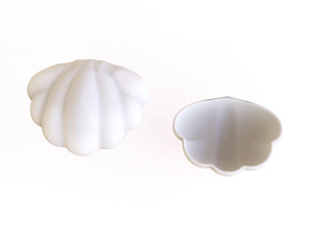 Sea Shell 06 3D Model