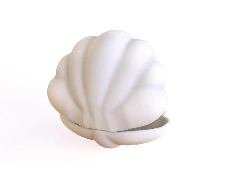 Sea Shell 06 3D Model