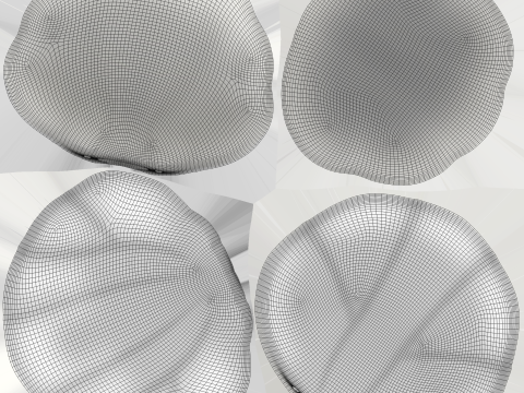 Sea Shell 06 3Dモデル