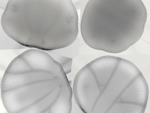 Sea Shell 06 3D Model