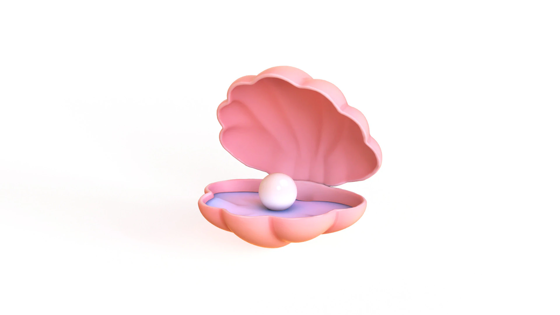 Open Clam Sea Shell 01 3D Model .c4d .max .obj .3ds .fbx .stl .blend 