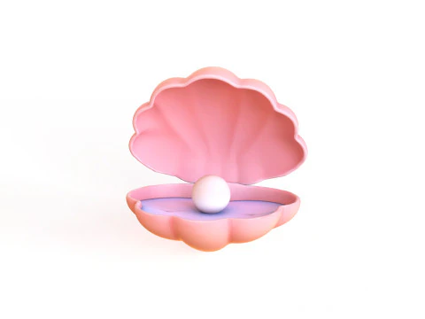 Open Clam Sea Shell 01 3D Model