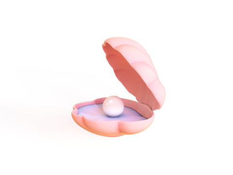 Open Clam Sea Shell 01 3D Модель