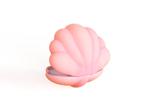 Open Clam Sea Shell 01 3D Model