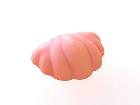 Open Clam Sea Shell 01 3D Model