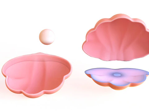 Open Clam Sea Shell 01 3D Model
