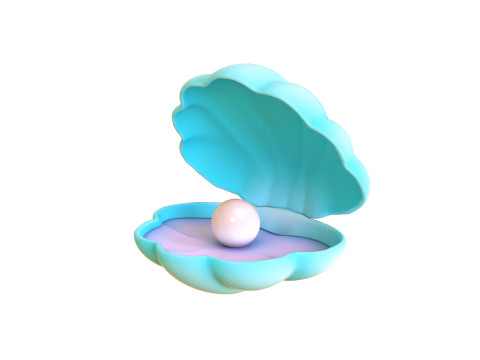Open Clam Sea Shell 02 3D Model