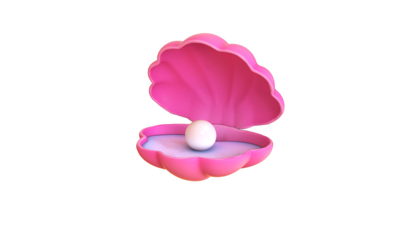 Open Clam Sea Shell 03 3D Model .c4d .max .obj .3ds .fbx .stl .blend 