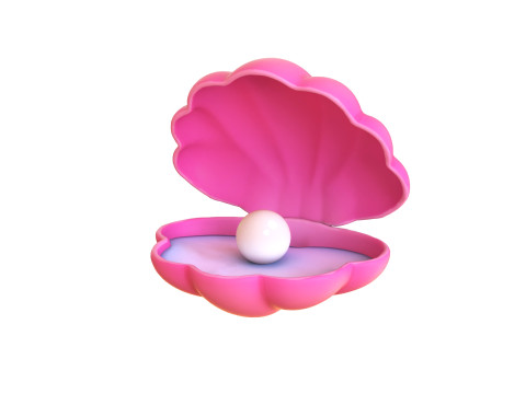 Open Clam Sea Shell 03 3D 모델