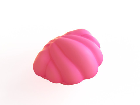 Open Clam Sea Shell 03 3D Model