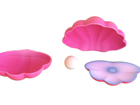 Open Clam Sea Shell 03 3D Model