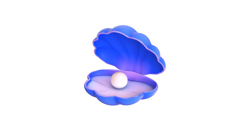 Open Clam Sea Shell 04 3D Model .c4d .max .obj .3ds .fbx .stl .blend 