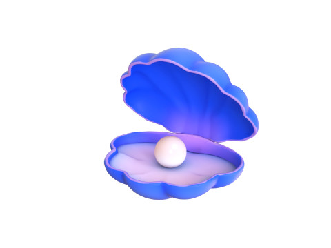 Open Clam Sea Shell 04 3Dモデル