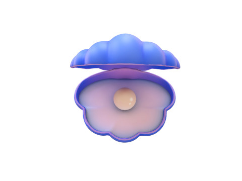 Open Clam Sea Shell 04 3D Model