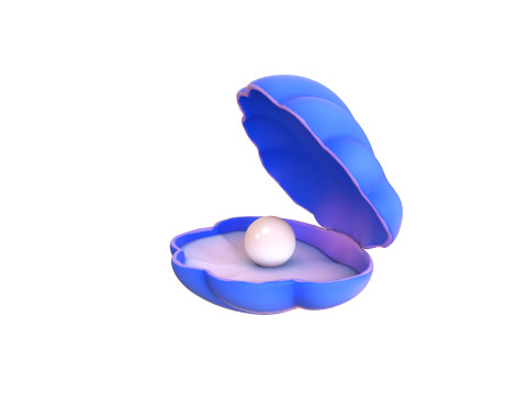 Open Clam Sea Shell 04 3D Model