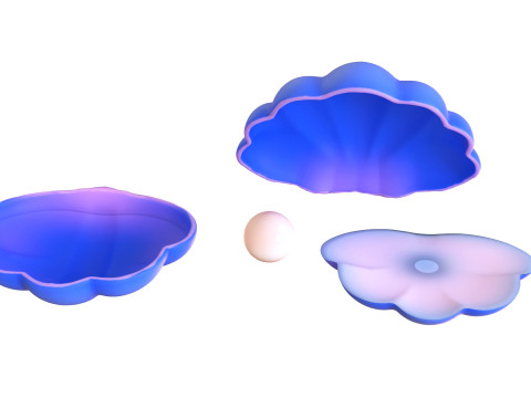 Open Clam Sea Shell 04 3D Model