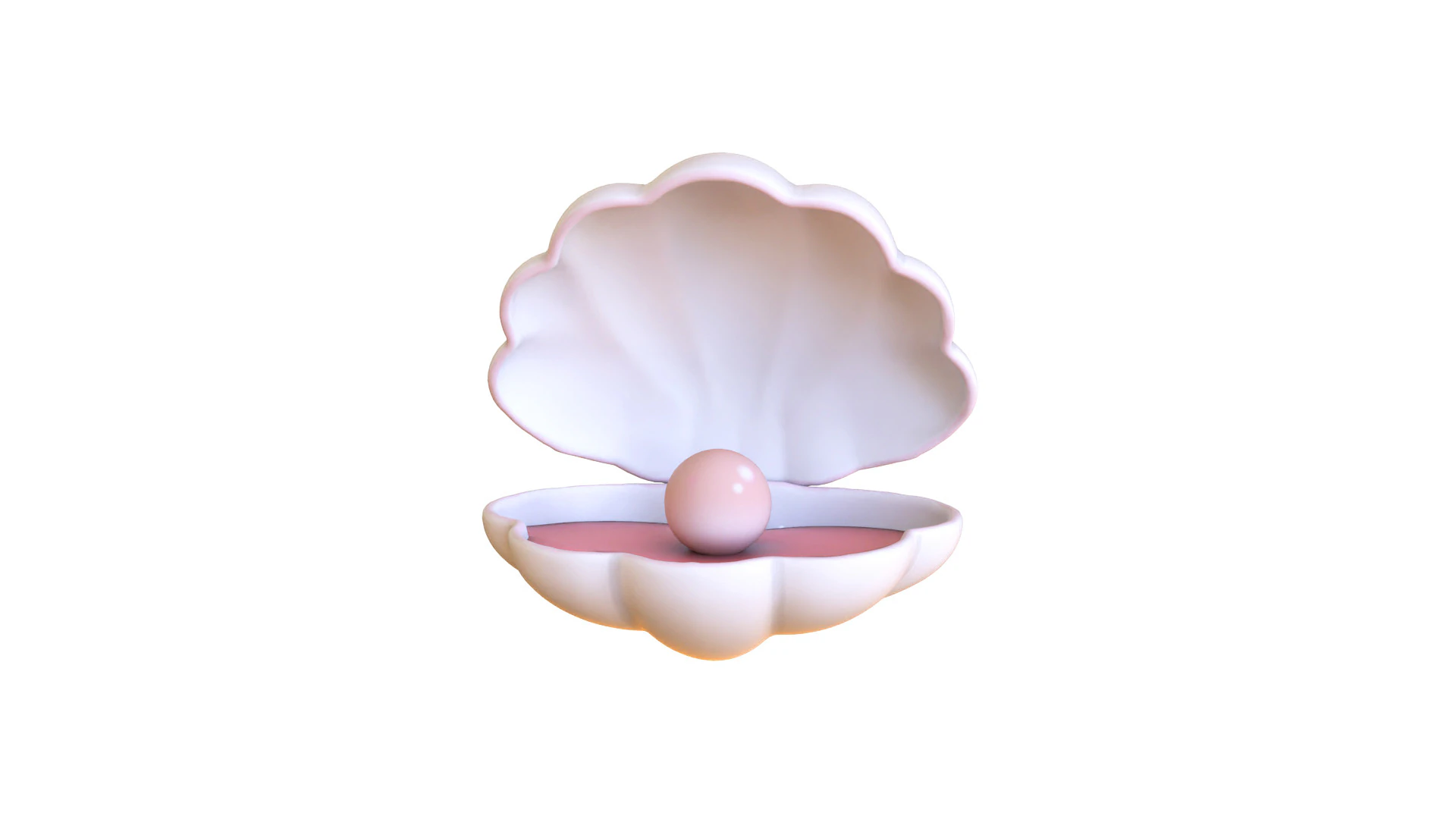 Open Clam Sea Shell 05 3D Model .c4d .max .obj .3ds .fbx .stl .blend