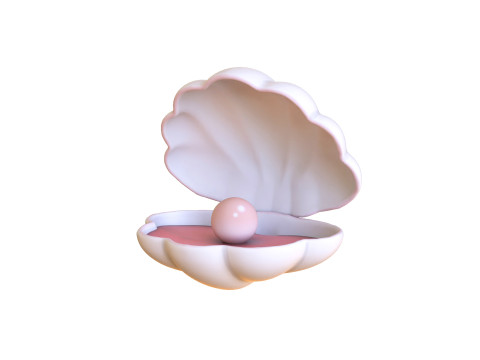 Open Clam Sea Shell 05 Modèle 3D